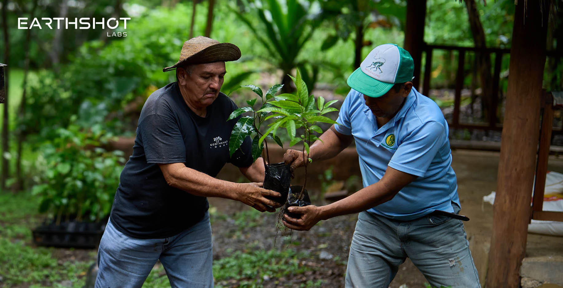 Origin Story Interview W/ Troy Carter, Earthshot Labs